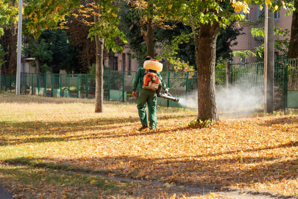 Best Mosquito Control Services  in Hartsville, SC