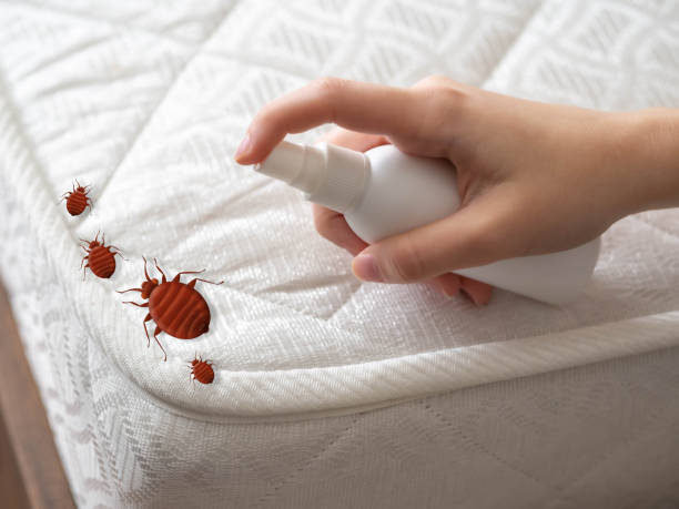 Best Affordable Pest Control Services  in Hartsville, SC